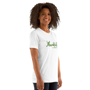 "Be Thankful" Colossians 3:15 Tee – Inspirational Thanksgiving Shirt- Ladies t-shirt